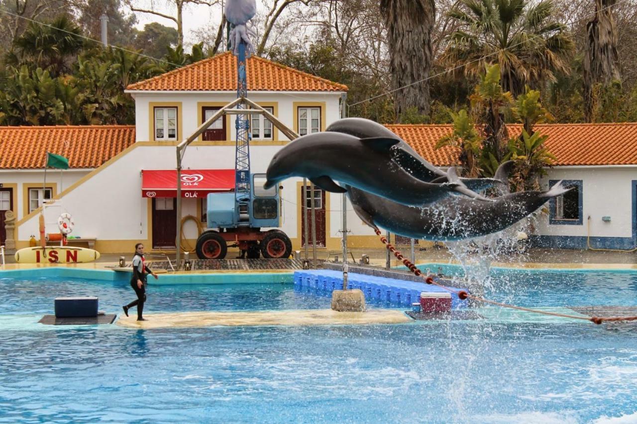アルマダCasa Do Pedro - Lisbon South Bayアパートメント エクステリア 写真